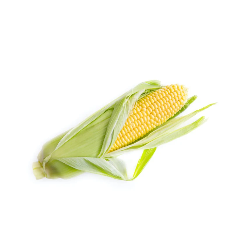 100% Natural Dried Yellow Corn for Ready to Eat Instant Food