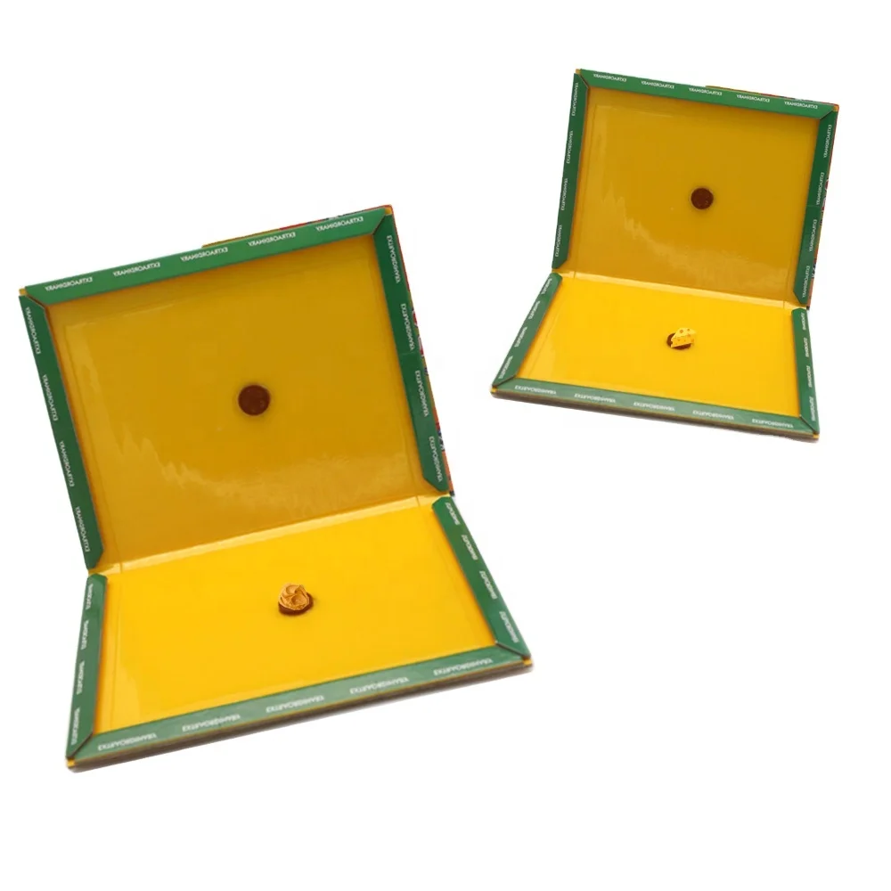 Paper Board Effective Pest Control Disposable Rat Mouse Competitive Sticky Glue Trap Eco Friendly Foldable Design Rodent Control