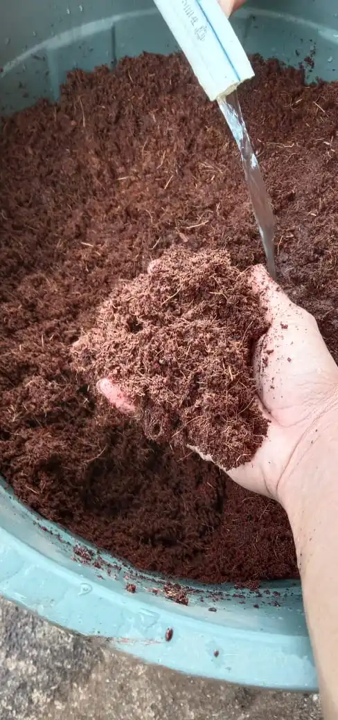 BRICKS FOR HEALTH PLANTS AND FLOWERS BEST WAY FOR HYDROPONICS AGRICULTURE