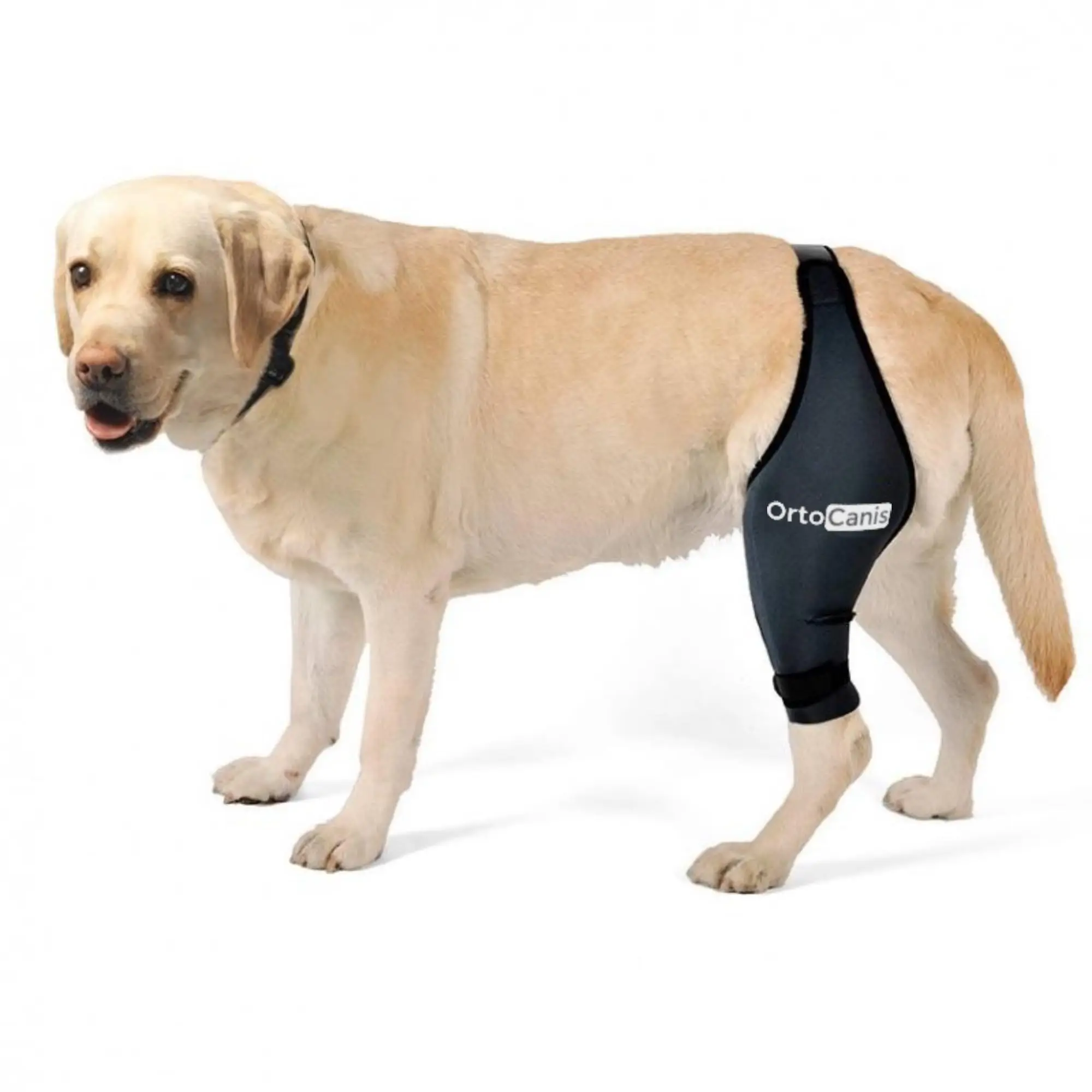 Dog Rear Leg Brace for Hock Joint, Compression Wrap Strong Support Back Leg for Canine Torn ACL & CCL, Injury and  Protection