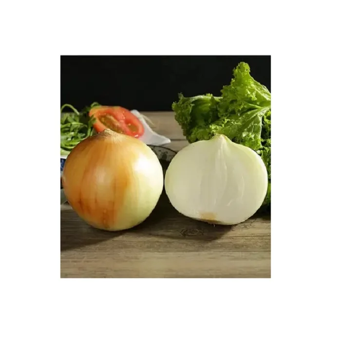 100% Fresh Onion For Sale Cheap Price Fresh Vegetable Onion for sale