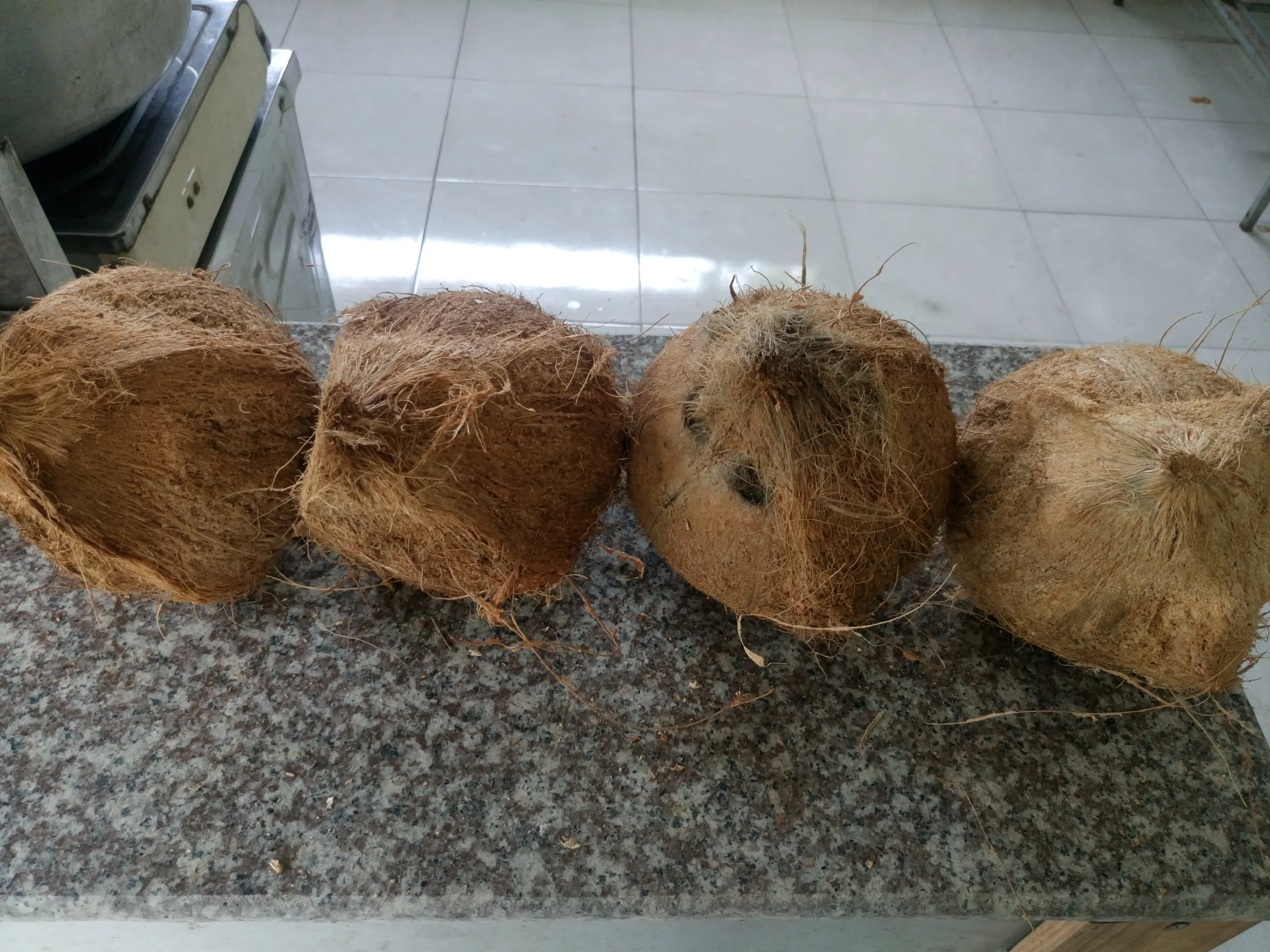 Экспортер тропических фруктов/органический полуочищенный зрелый кокос/свежий коричневый кокос из Вьетнама (Whatsapp 84 366 808 683)