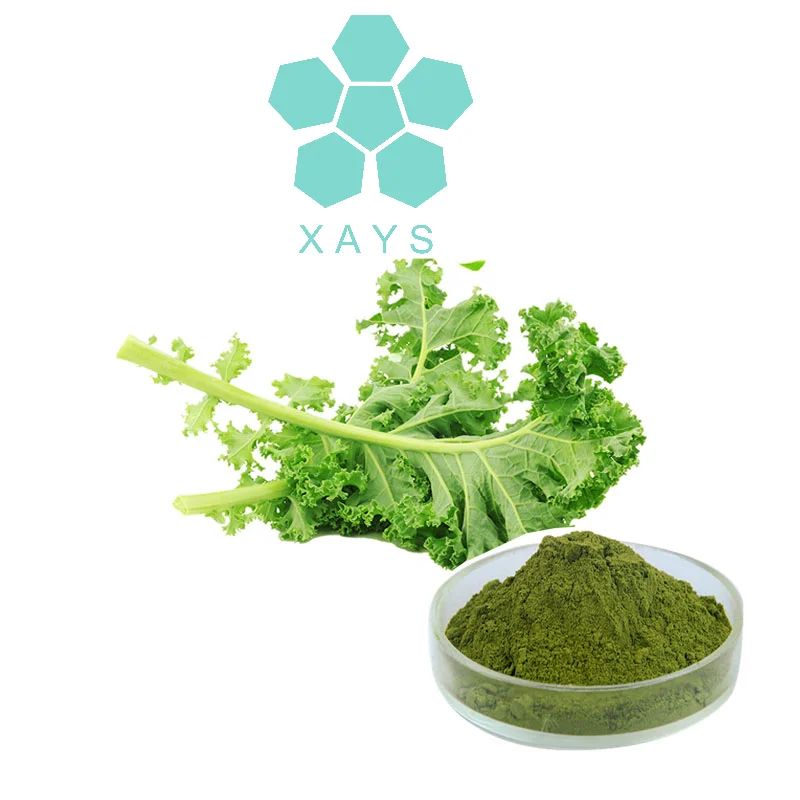 Wholseal Spinach juice powder organic green spinach powder