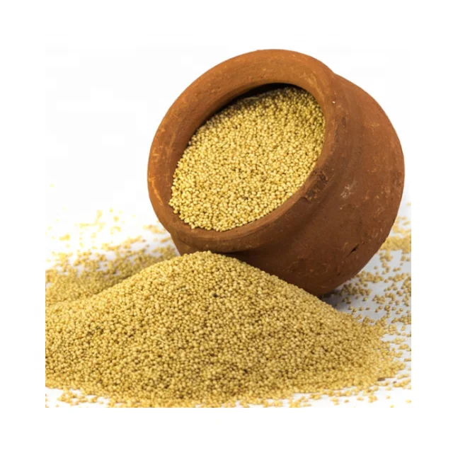 AMARANTH OIL MANUFACTURER KANHA NATURE OILS INDIA PREMIUM QUALITY WHOLESALE PRICE BUY BULK CARRIER OILS