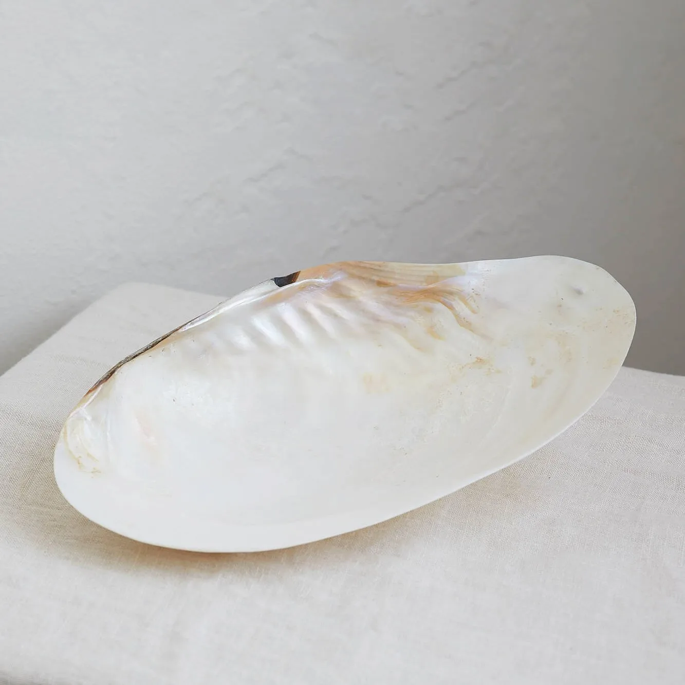 Luxurious caviar serving dish and spoon set wholesale factory price polished natural mother of pearl flatware