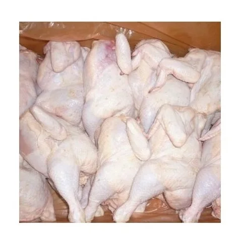Lowest Price Frozen Whole Chicken Premium Quality Bulk Quantity For Exports From Europe