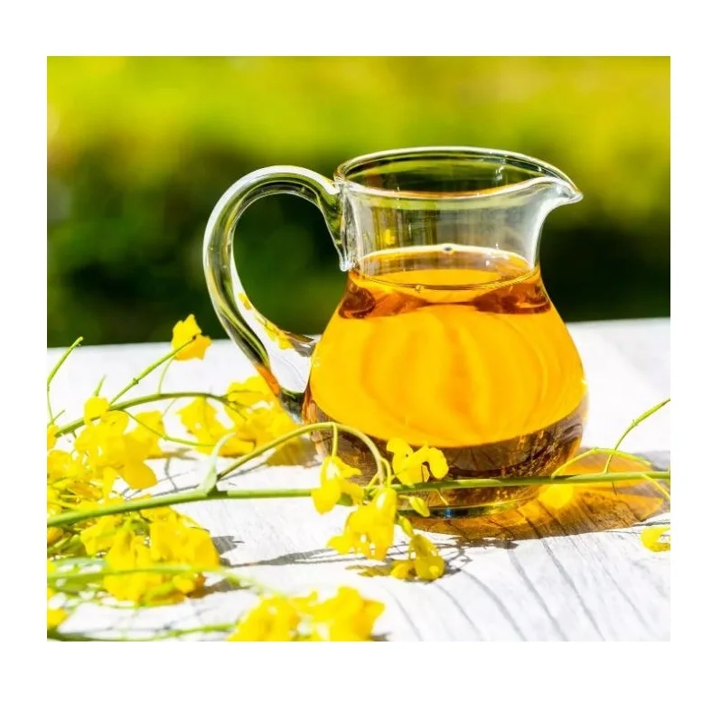Wholesale Best Price Supplier Refined Rapeseed/Canola Oil