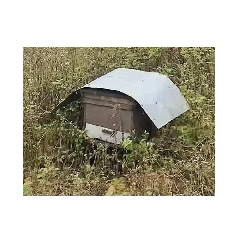 Green Yellow Color Top Selling Hot Quality Best Price Low MOQ Reasonable Price honey raw Mint Honey From Vietnam