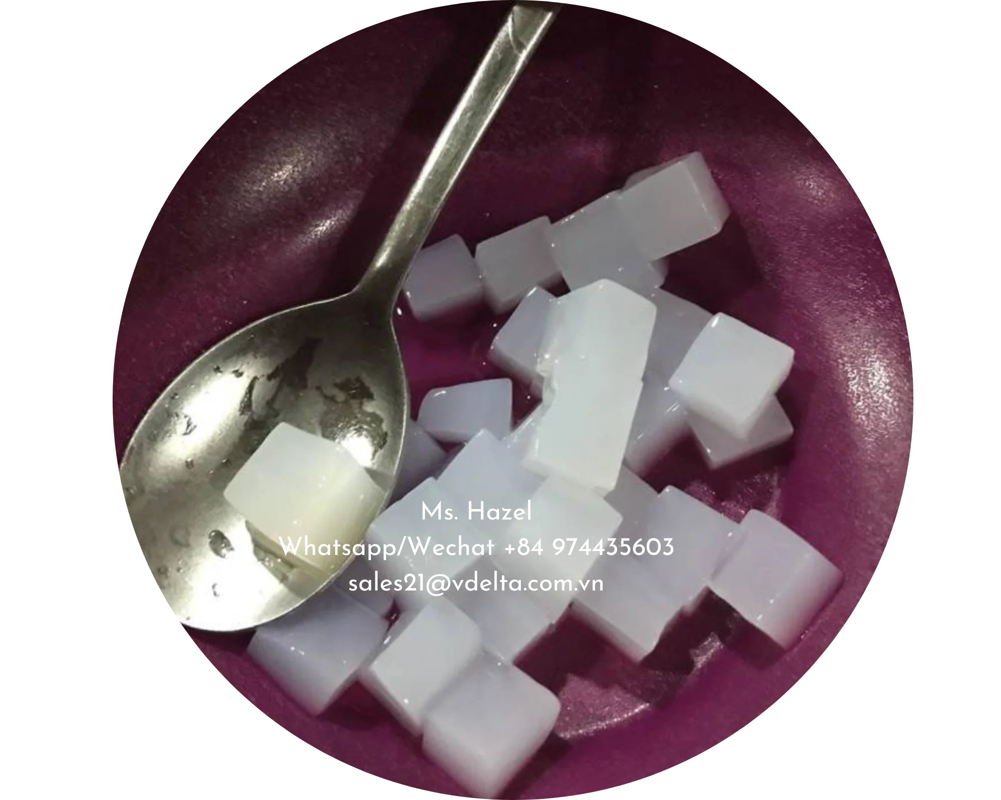 Большое количество свежего кокосового желе/Nata De Coco из Вьетнама/Ms. Hazel (+ 84) 974435603