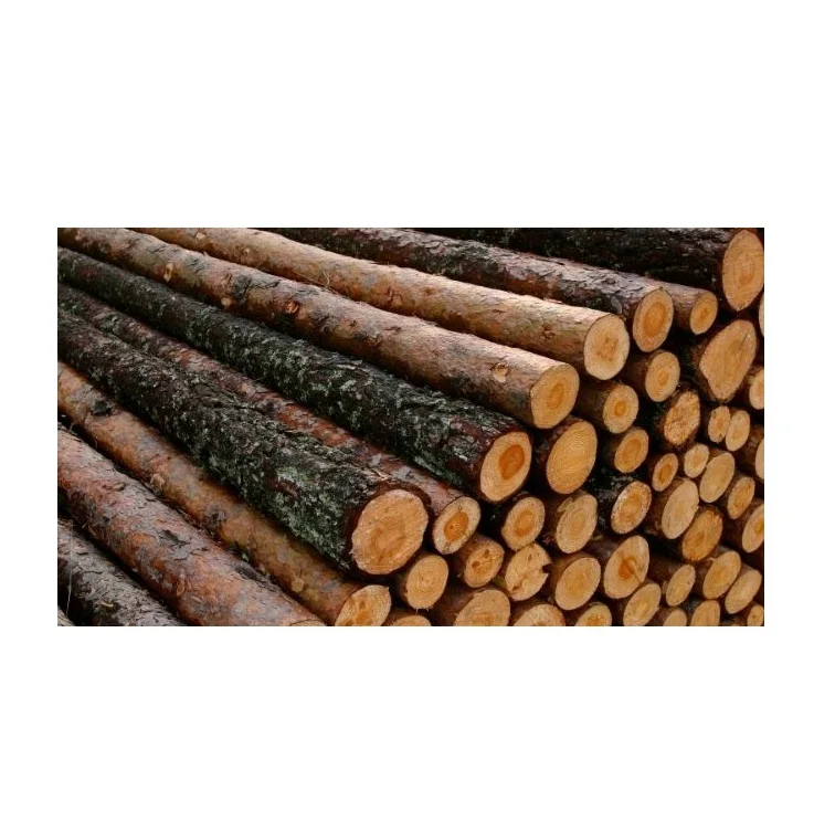 Hot Sale Price Of Hard Wood Round Logs | Wood Timbers For Sale