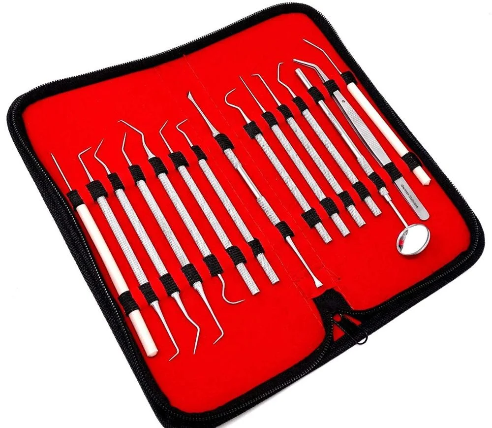 OEM Service Double Ended Design Dental Scaler Dentistry Instrument for Sale Ce PK High Grade Dental Tool Kit