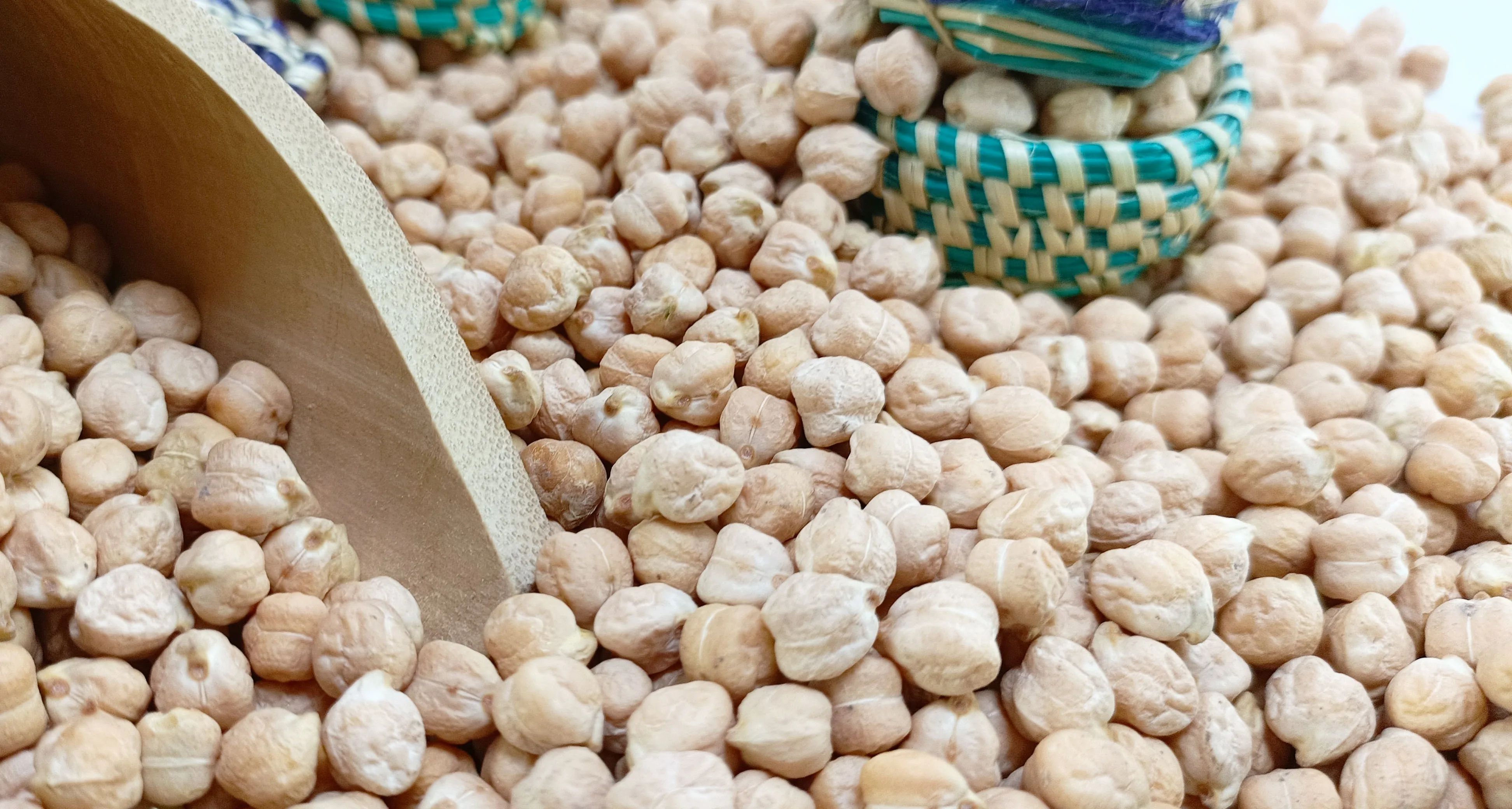 Kabuli Chickpea DP-53
