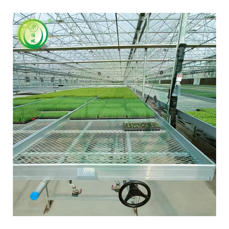 automatic greenhouse with hot dip galvanized  wire mesh growing movable table for Orchid cultivation and seeding