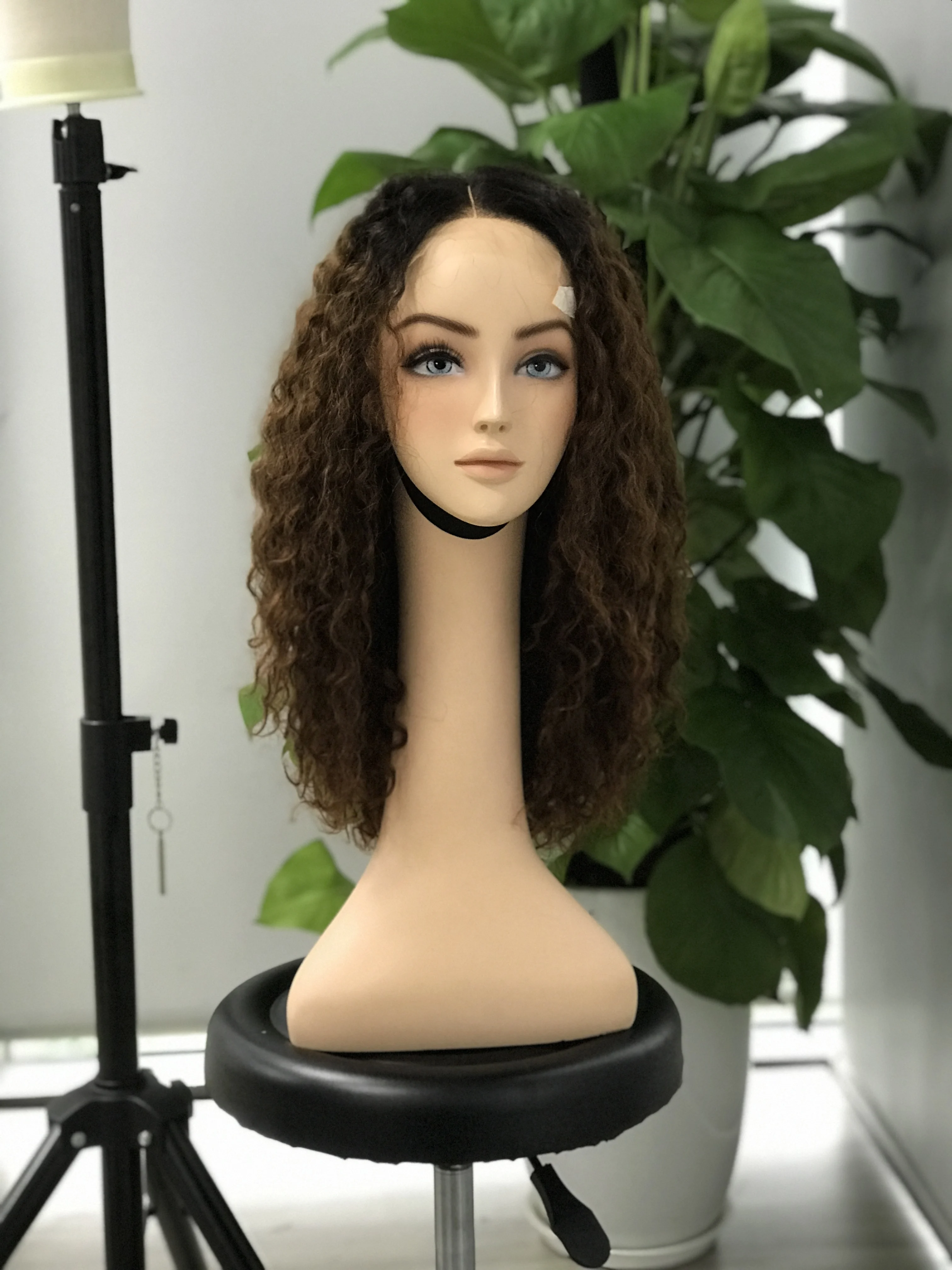Cuticle Aligned Virgin Double Drawn Human Hair Burmese Curly Lace Front Wig Transparent Lace HD Lace Vietnamese Factory