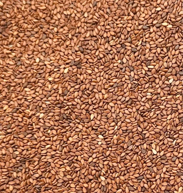 Yellow White Sesame Seed