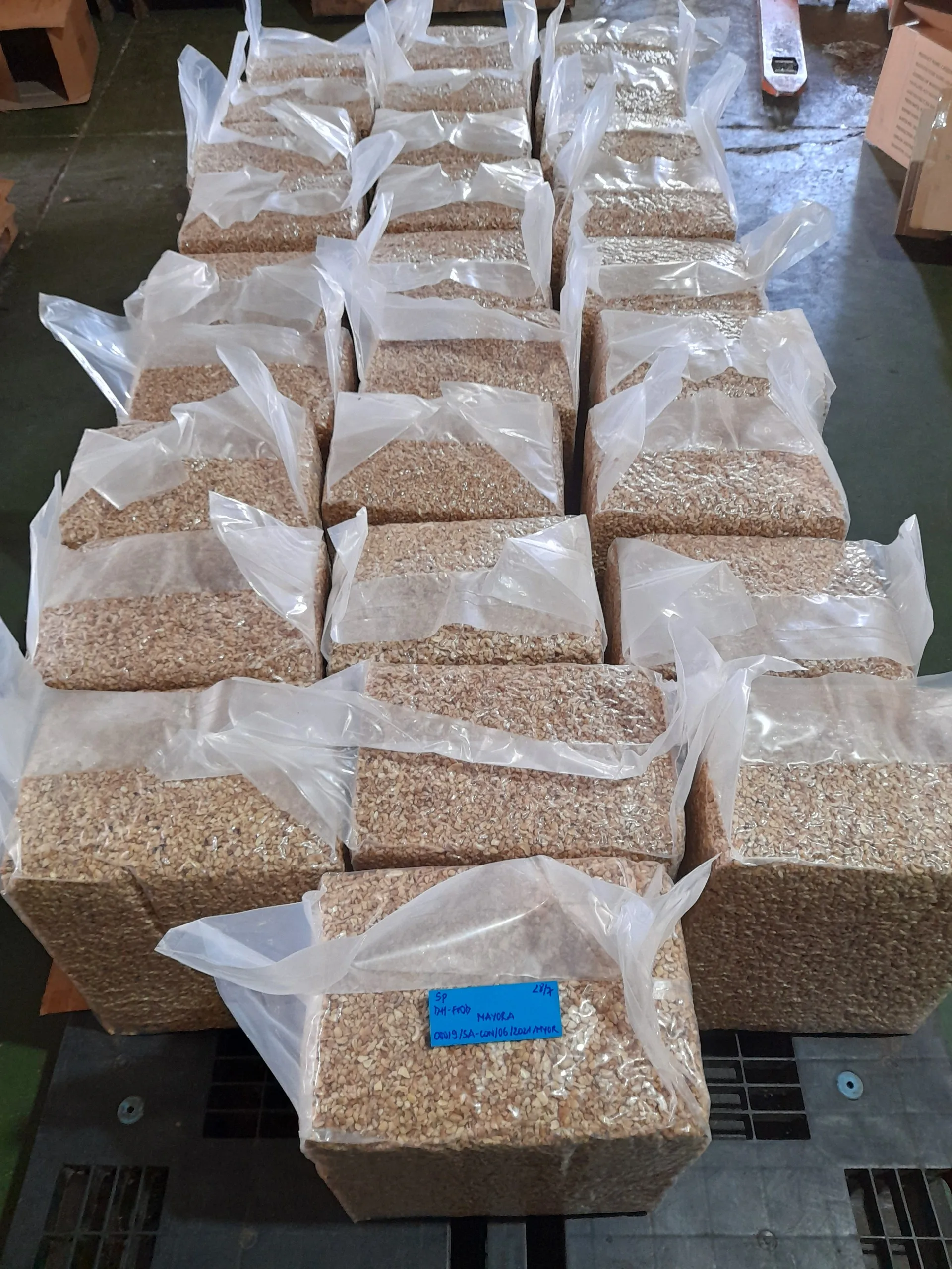 Premium Nuts - CASHEW KERNEL WW240 (220-240 seed/ pound) ORIGIN OF VIETNAM available for export