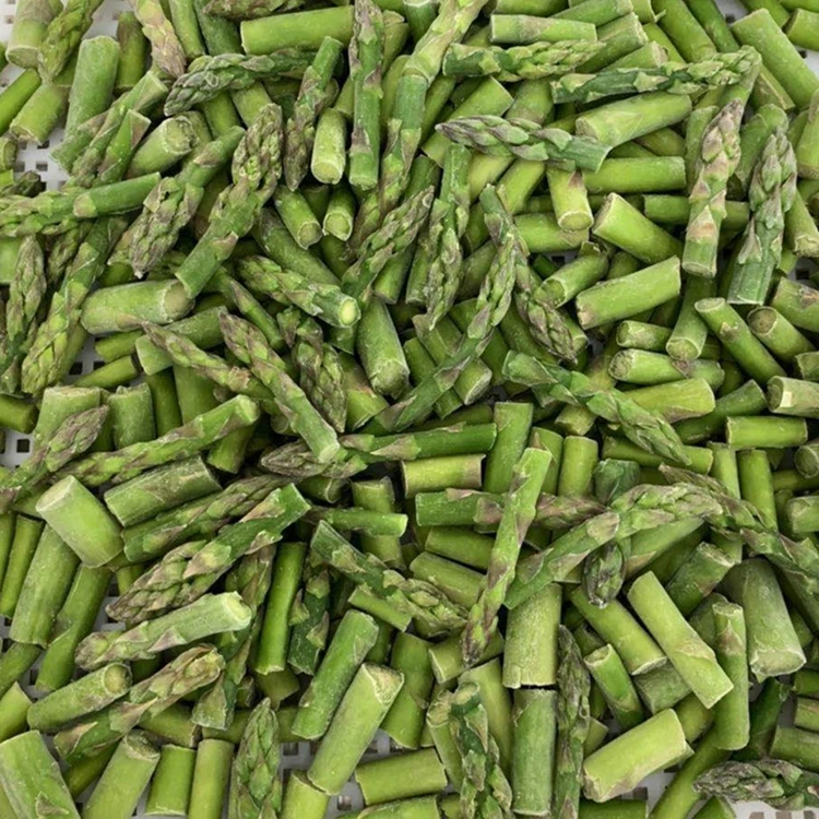 HOT SALE FRESH ASPARAGUS / FROZEN ASPARAGUS