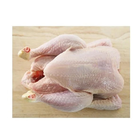 Lowest Price Frozen Whole Chicken Premium Quality Bulk Quantity For Exports From Europe