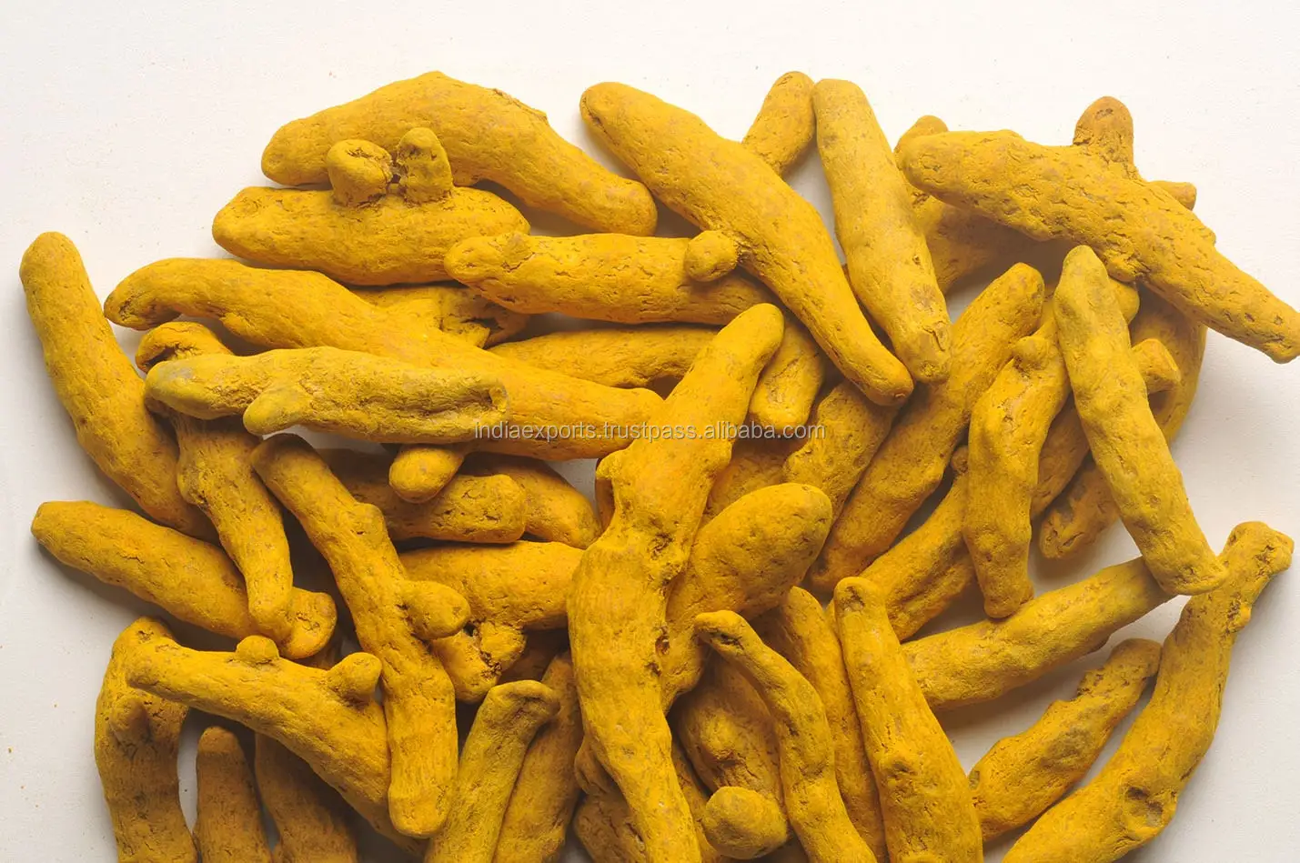 Indian High Quality Turmeric Finger From India