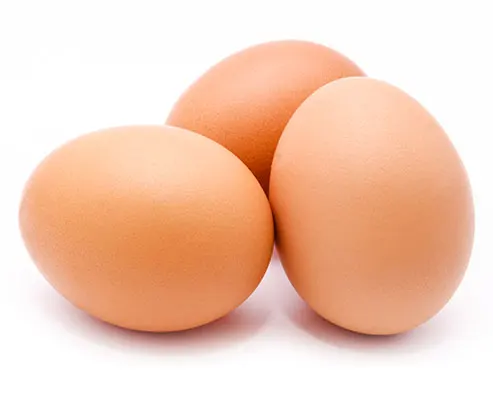 Прозрачный пластиковый контейнер для