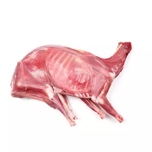 Halal Sheep Fresh Chilled Meat Fresh/chilled Wholesale High Quality Product Halal Certification Food Grade Fresh Frozen Lamb