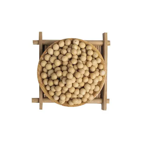 Non Gmo Soybeans / Soya Beans Soy bean Seeds and Soya bean Seeds