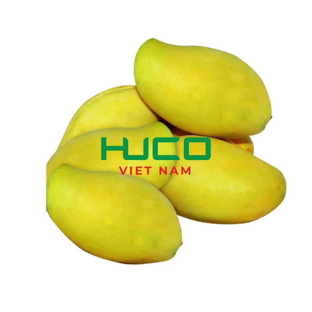 Fresh Mango 100% Organic Premium Grade Negotiate Price