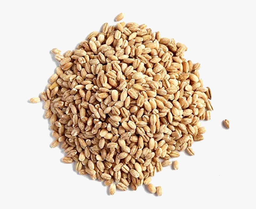 Animal Feed Barley Wheat Bran at factory price Barley Wheat Bran rich in Protein