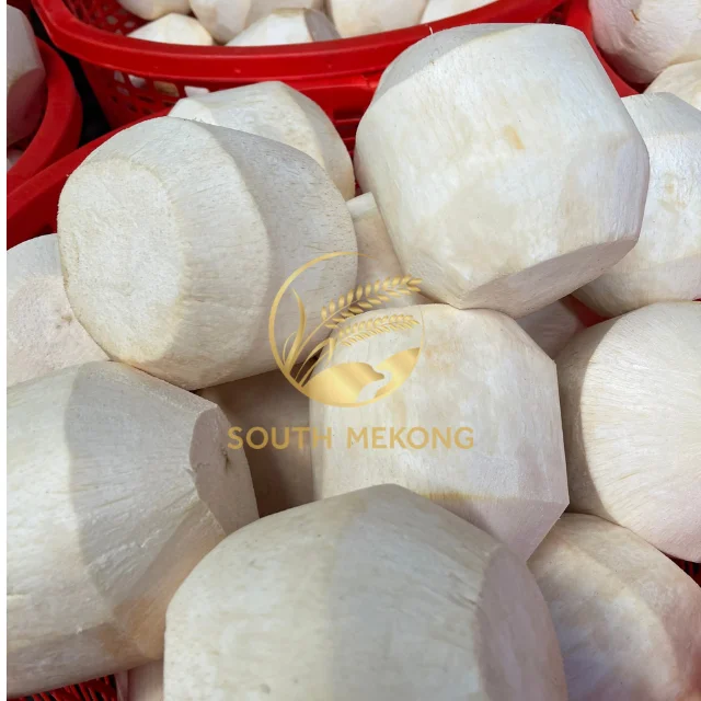 DELICIOUS GREEN YOUNG COCONUT TOP QUALITY BEST PRICE FOR WHOLESALE  - WHATSAPP: +84 358211696
