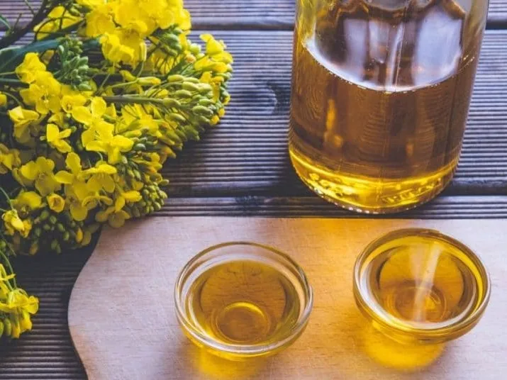 High Quality Canola Rapeseed Oil Pure Refined at Very Low Factory Price