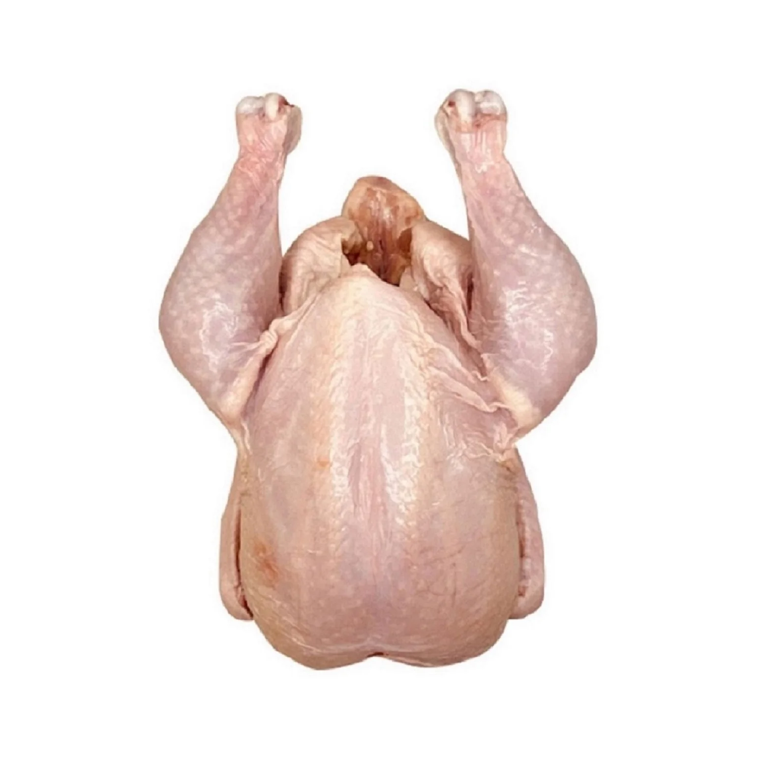 Wholesale Supplier Frozen Duck For Sale Frozen Duck for Sale