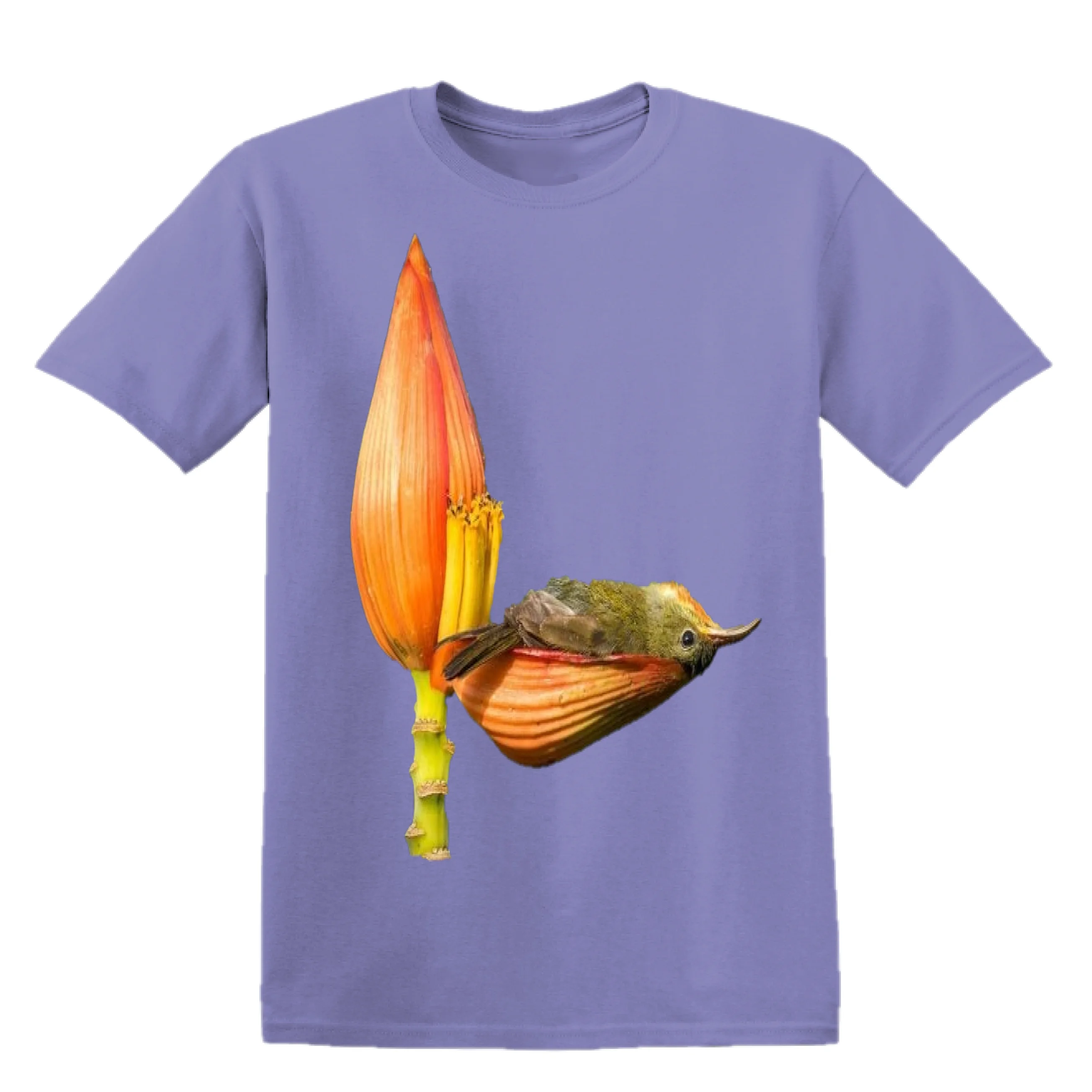 Bird Print Good Quality Unisex T Shirt Solid Color Sustainable Direct Factory Made 100% Cotton Wholesale Price T Shirt