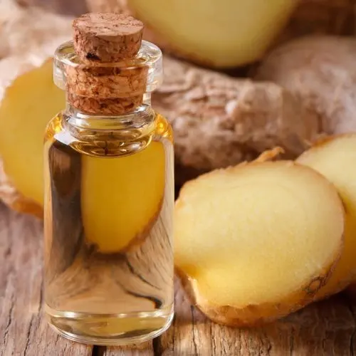 Pure Organic Ginger Oil Wholesale