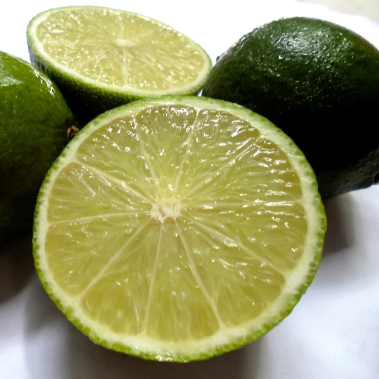 SEEDLESS LIME best price FROM VIET NAM  call +84963818434 whatsapp