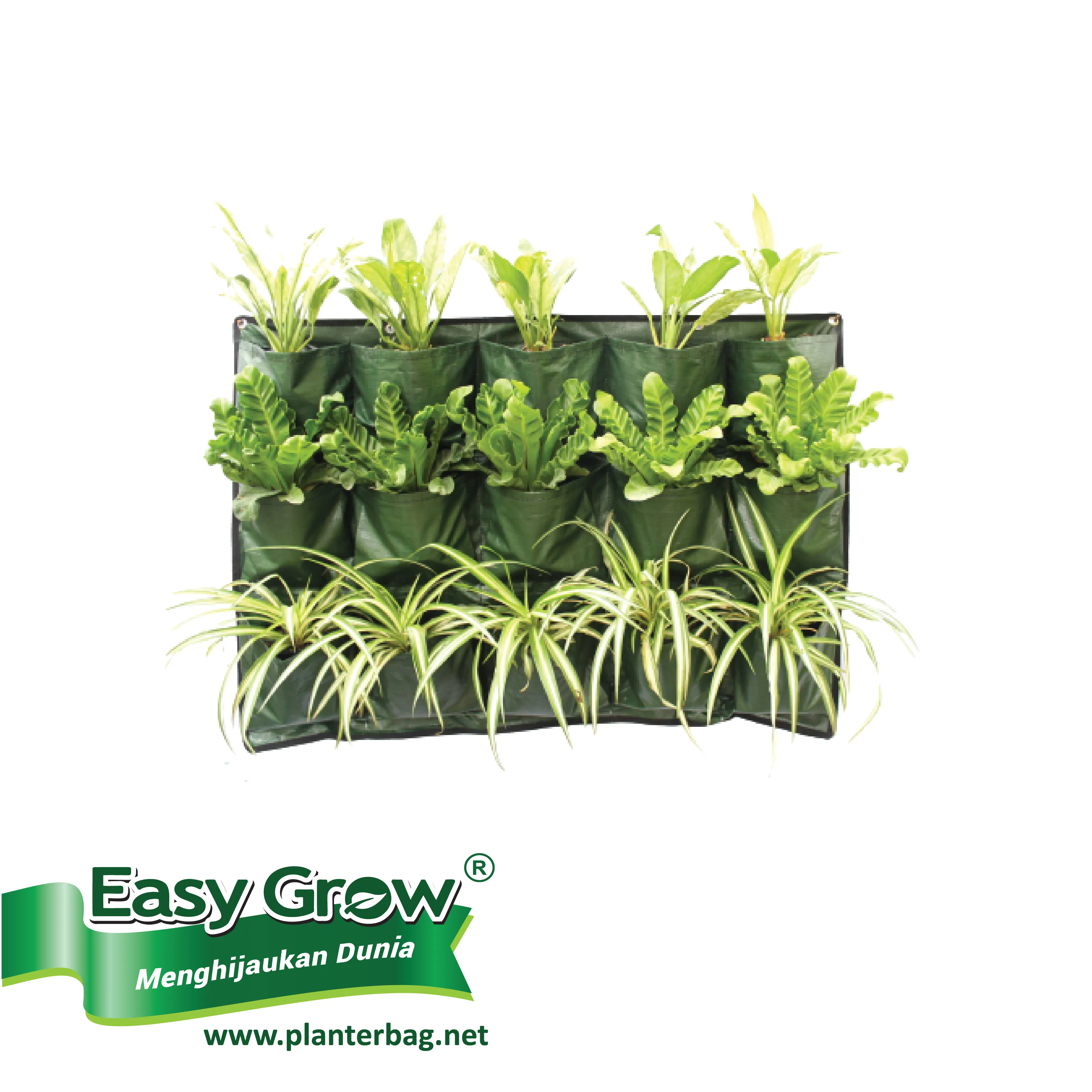 New Design Hanging Plastic Planter green wall planter flower pots & Planter 8 9 10 12 Pockets for Vertical garden