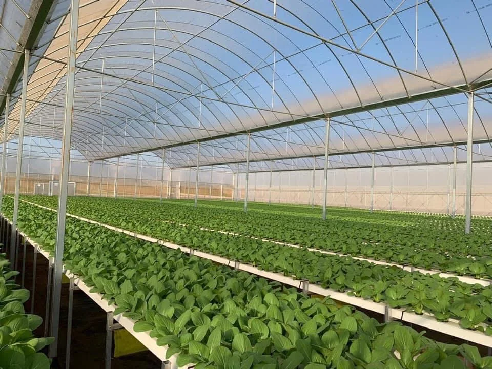 COCO PEAT Block 400g. High Quality 100% Natural Washed Coconut Peat Prices Manufacturer Organic