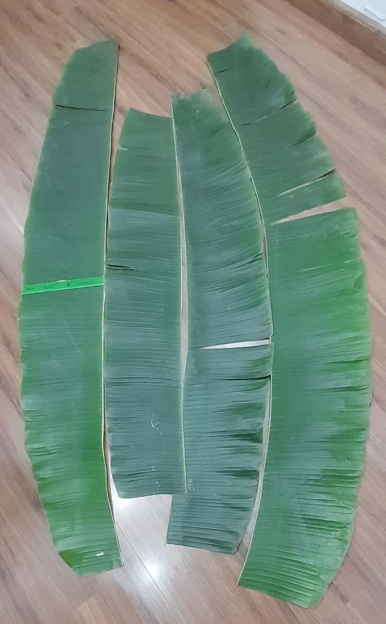 Best price fresh and frozen green tropical banana leaf cheapest price banana leaf made in Vietnam 2023