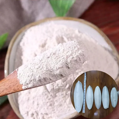Top-grade dried cuttlefish bone powder, 100% pure and sourced directly from Vietnam