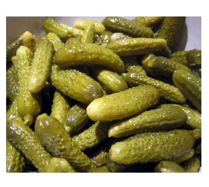 Preserved Canned Cucumber In Vinegar - Pickled Gherkins Baby Cucumbers In Brine