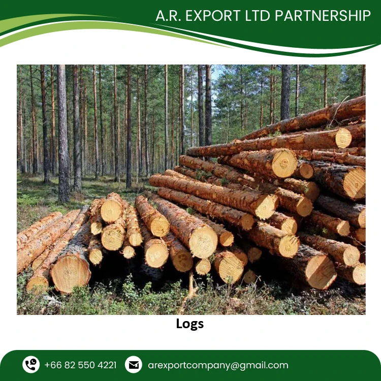 Круглые деревянные бревна от производителя, продажа деревянных бревен хорошего качества по доступной цене, доступная для продажи