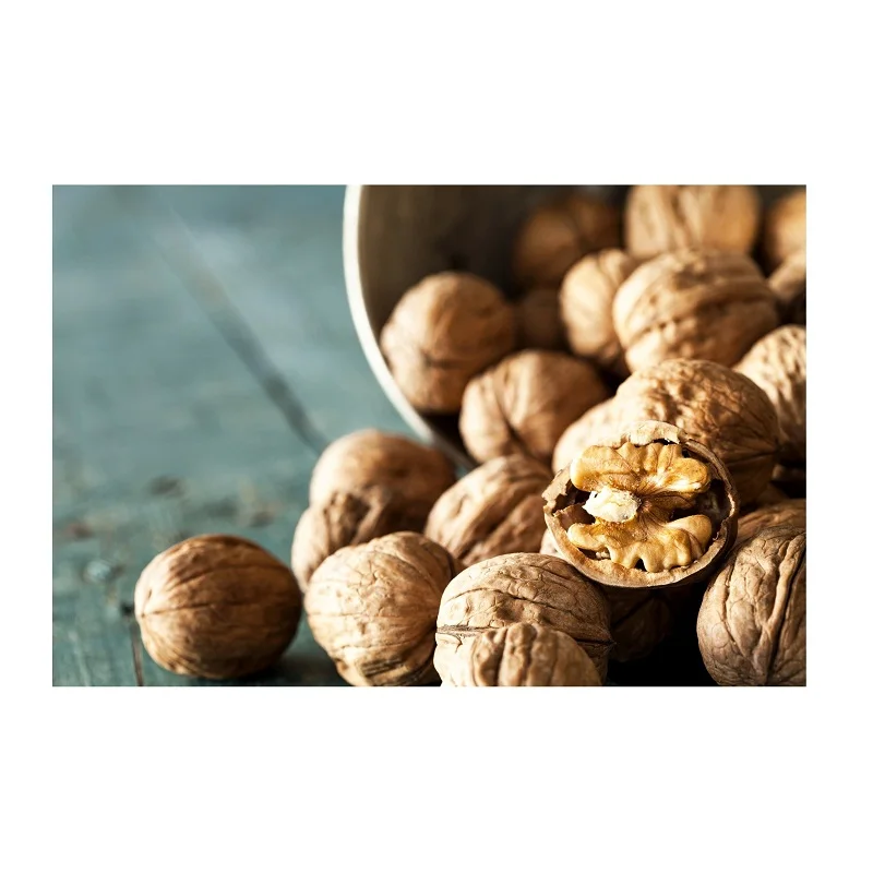 Special Discount Cheapest Walnut Inshell Manufacturer Walnut In Shell Wallnut