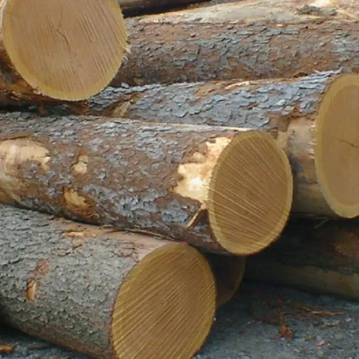 ROUND LOGS ,PINE SPRUCE, BIRCH OAK ASH LOGS BEST PRICE Kiln-Dried Split
