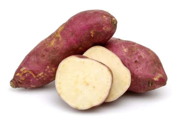 Cheap Price Purple Sweet Potato Vietnam / Fresh Purple Sweet Potato