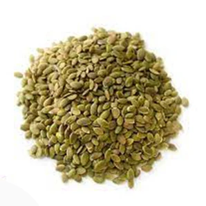 High quality Reasonable price Pumpkin Seeds Kernels Best material