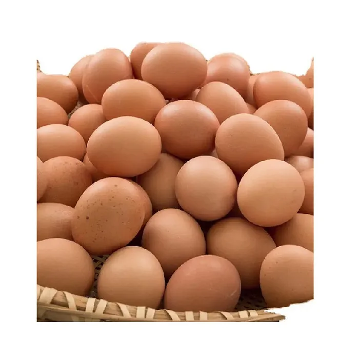 Egg White Box CHICKEN Style Packing Color Shelf Brown Origin Type Life Variety Size Product ISO FRESH TABLE Place Model Carton