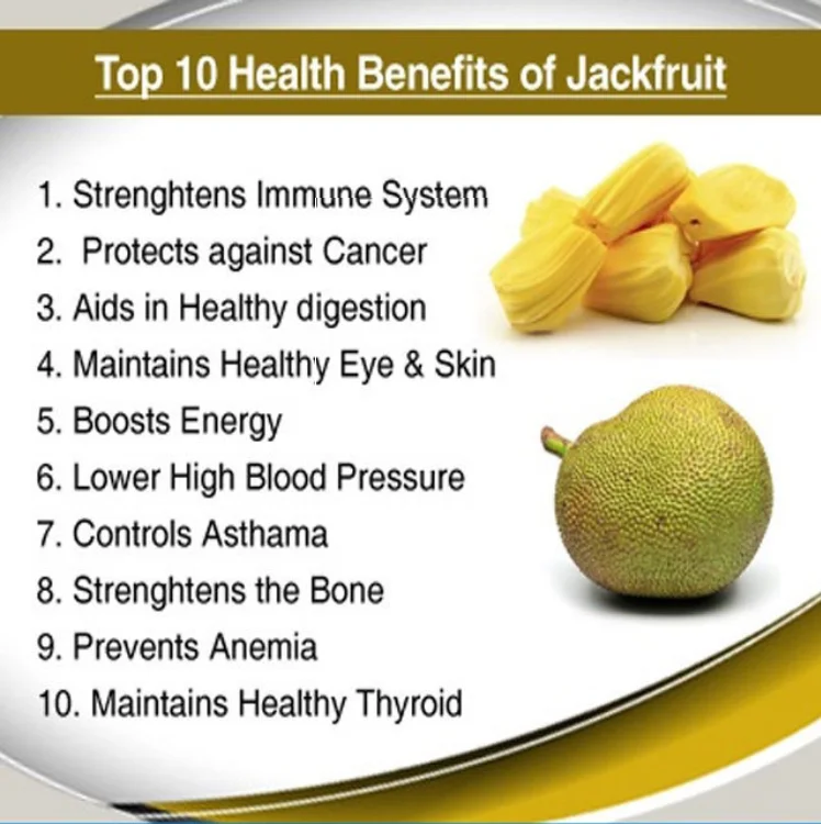 Wholesale Jackfruit Manufacturer in Vietnam- Jack fruit with Best Price