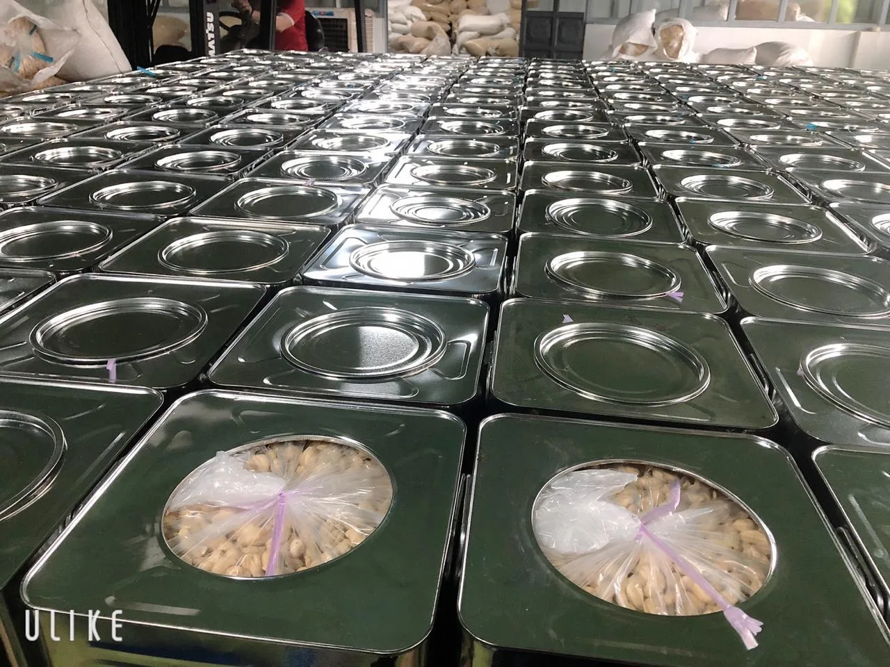 With Good Price And All Size Raw Salted Roast Cashew Nuts For Snack Made In Vietnam High Quality Raw Cashew Nuts