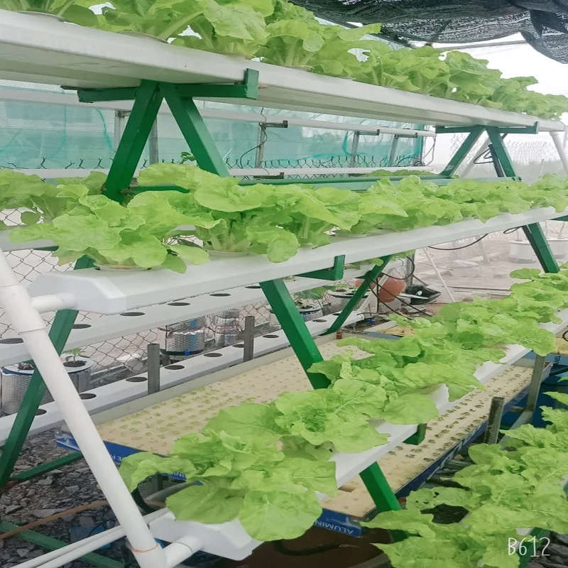 Service Supporting 6 months Warranty Flexible Manufacturing Farms High Quality Balcony Terrace Garden A Types Vertical