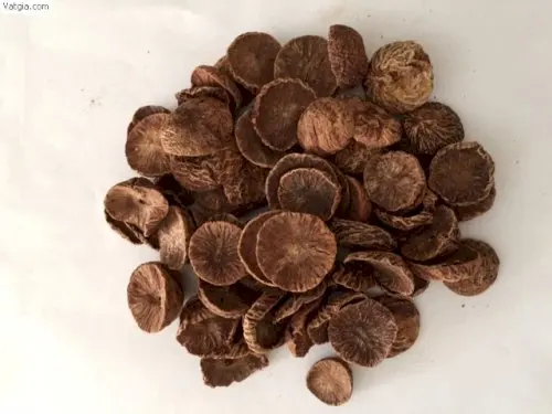 Top Quality Betel Nut Wholesale Dried Betel Nut From Vietnam Betel Nut Packing Bag Best Price For Exported