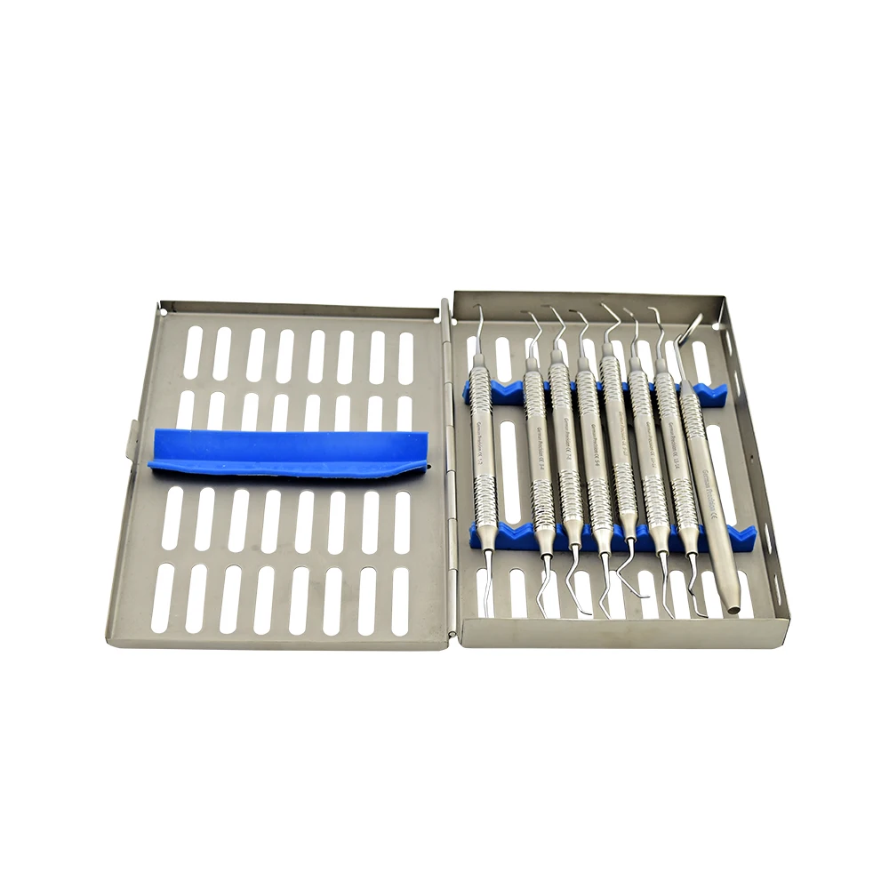 Prophylaxis Professional Cleaning Set Dental Hygienist Instruments Tool Kit CE Approved Hospital Suppliers
